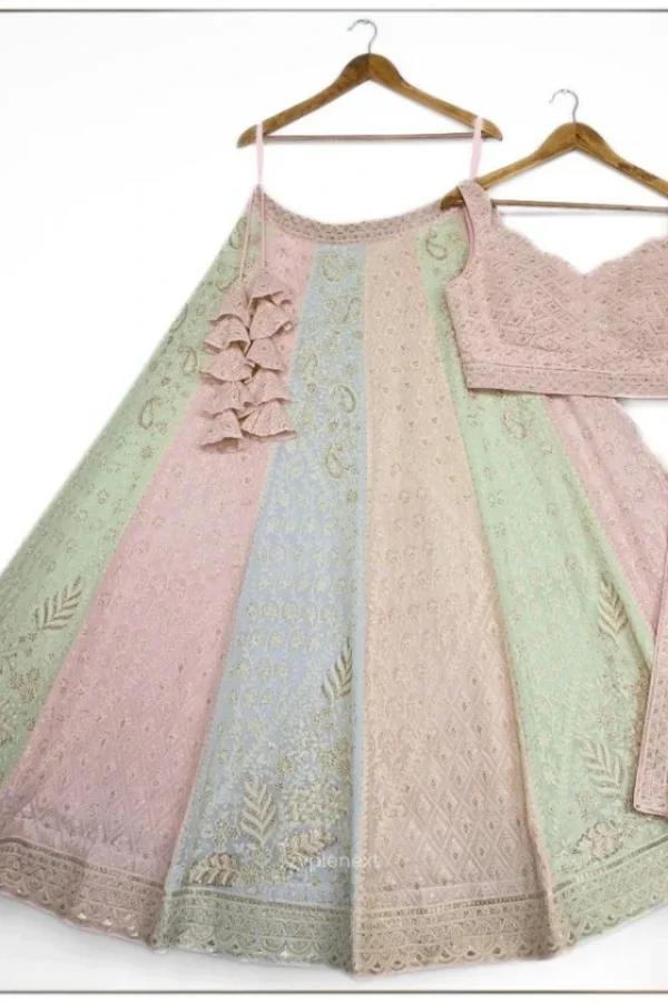 Multi color Choli